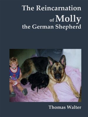 cover image of The reincarnation of Molly, the German Shepherd